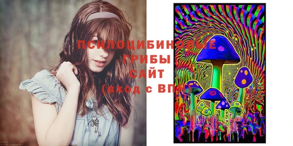 тгк Володарск