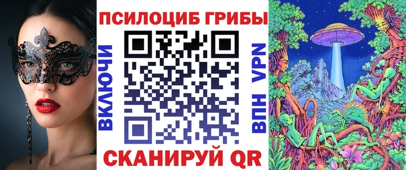 Псилоцибиновые грибы мицелий  цены   Каргополь 